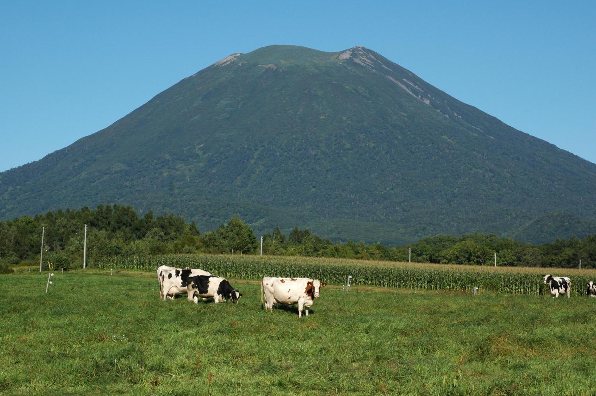 Niseko Highland Cottages ภายนอก รูปภาพ