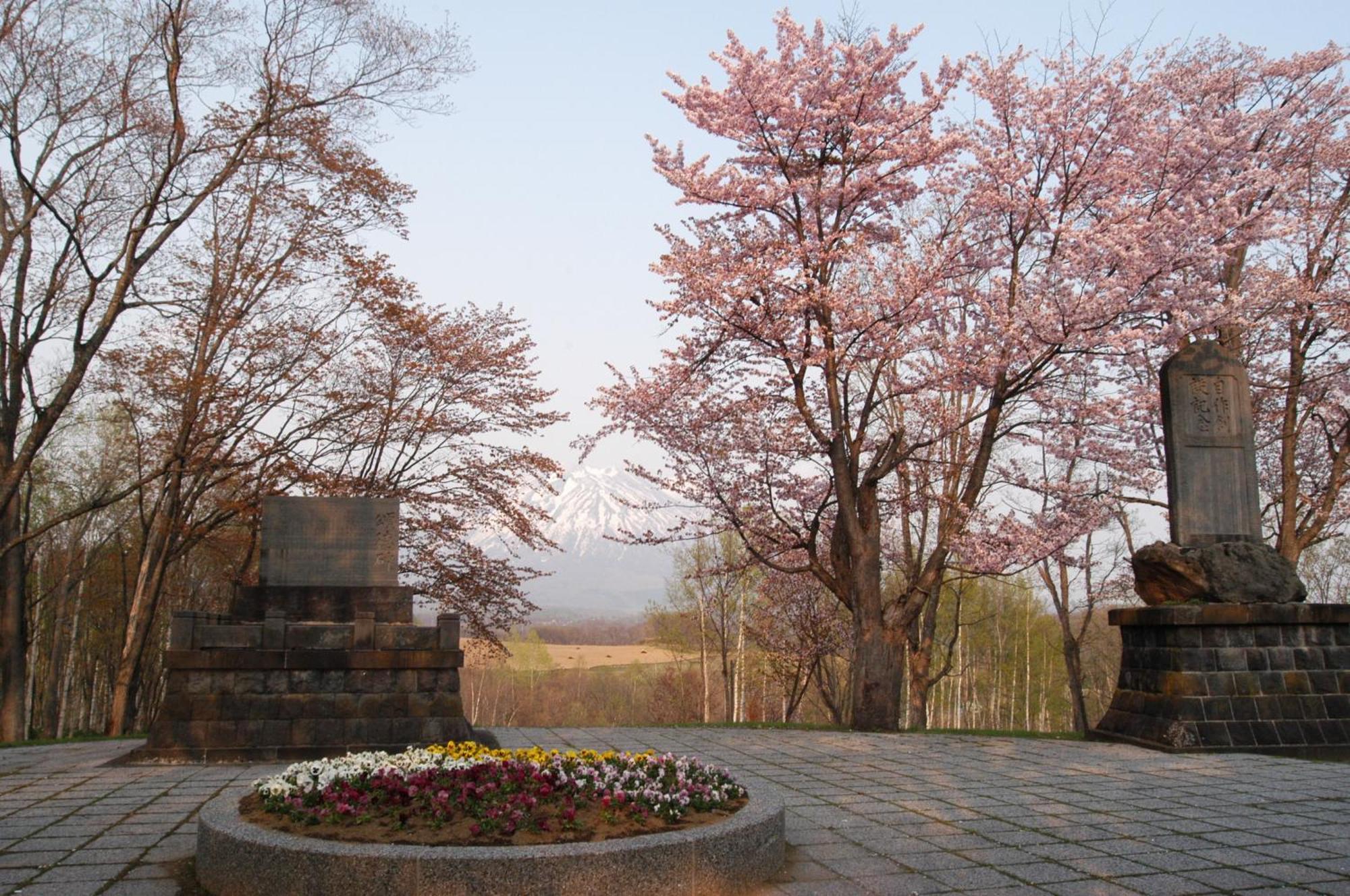 Niseko Highland Cottages ภายนอก รูปภาพ